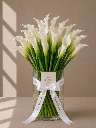 Alcatraz Forever — Alcatraces blancos — The Flower Lab