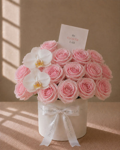 Rosa