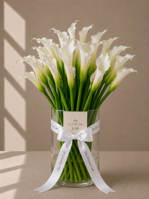 Alcatraz Forever - Alcatraces blancos tallo largo The Flower Lab