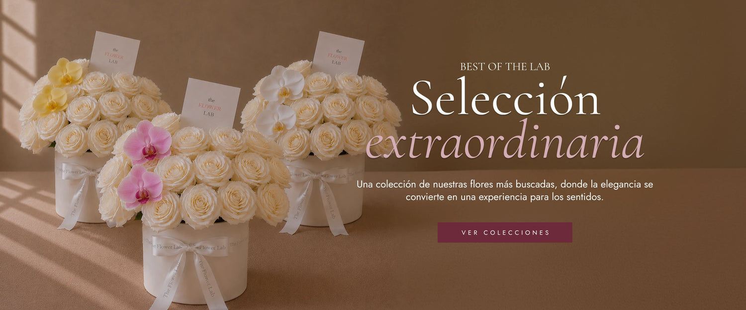 10% en tu primera compra con el código BIENVENIDA