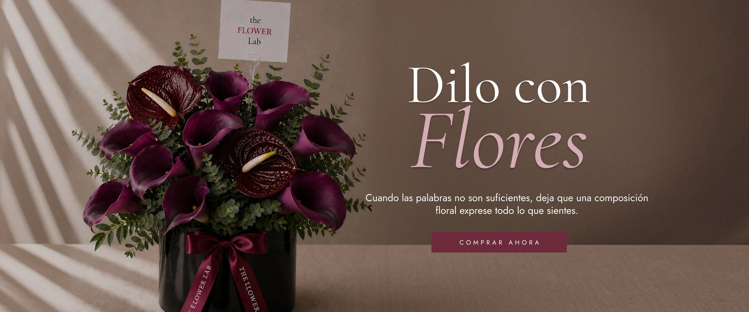 10% en tu primera compra con el código BIENVENIDA