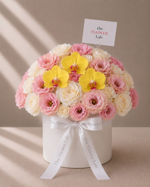 Birthday Girl — Rosas, lisianthus y orquídeas — The Flower Lab