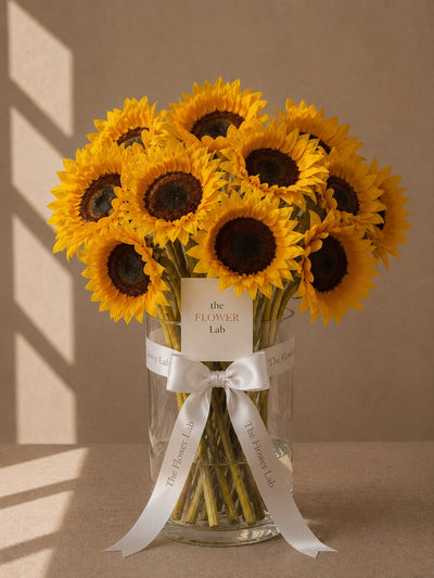 Girasol
